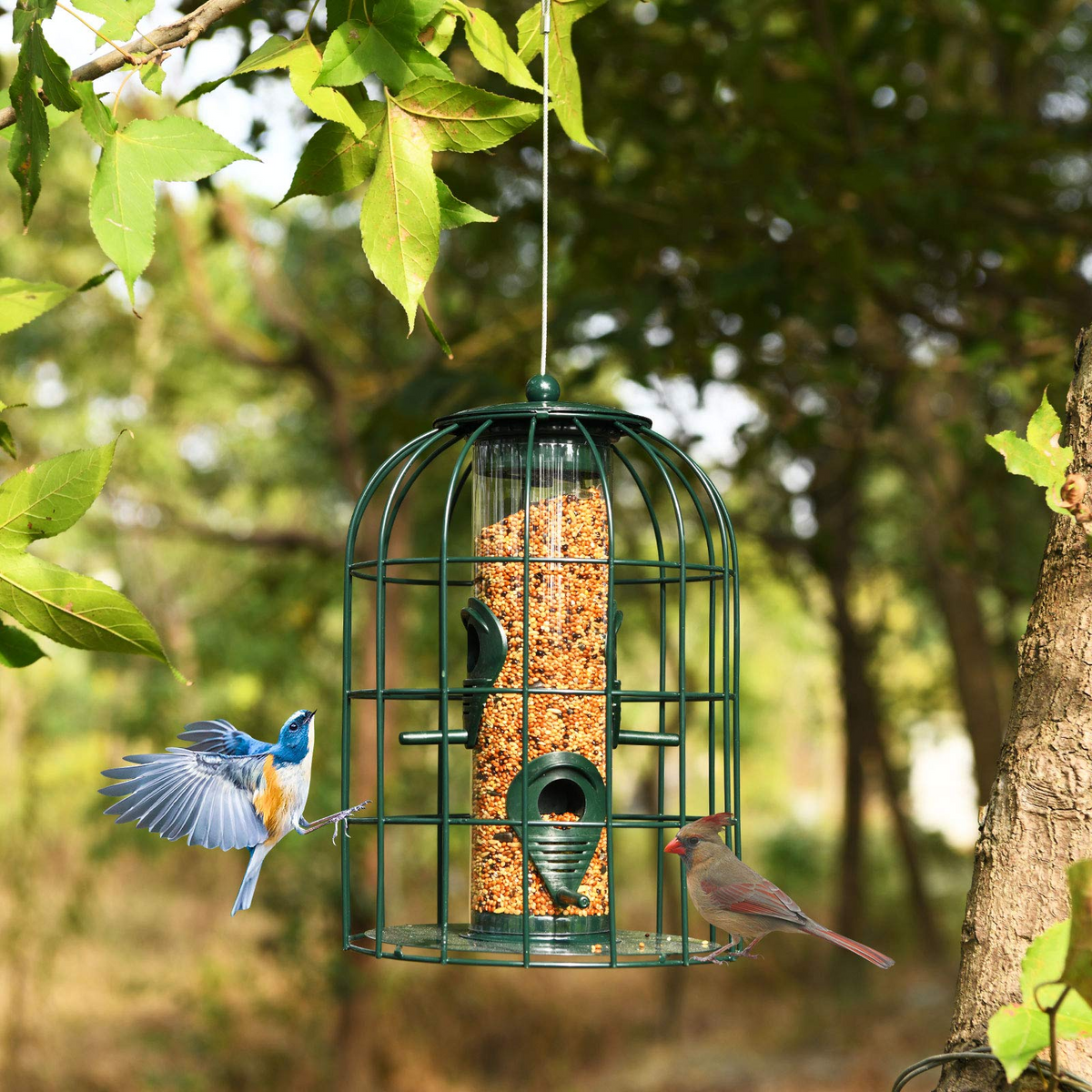 Squirrel-Proof Metal Hanging Bird Feeder with 4 Feeding Ports and Clear PC Tube