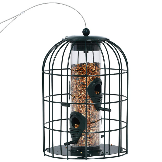 Squirrel-Proof Metal Hanging Bird Feeder with 4 Feeding Ports and Clear PC Tube