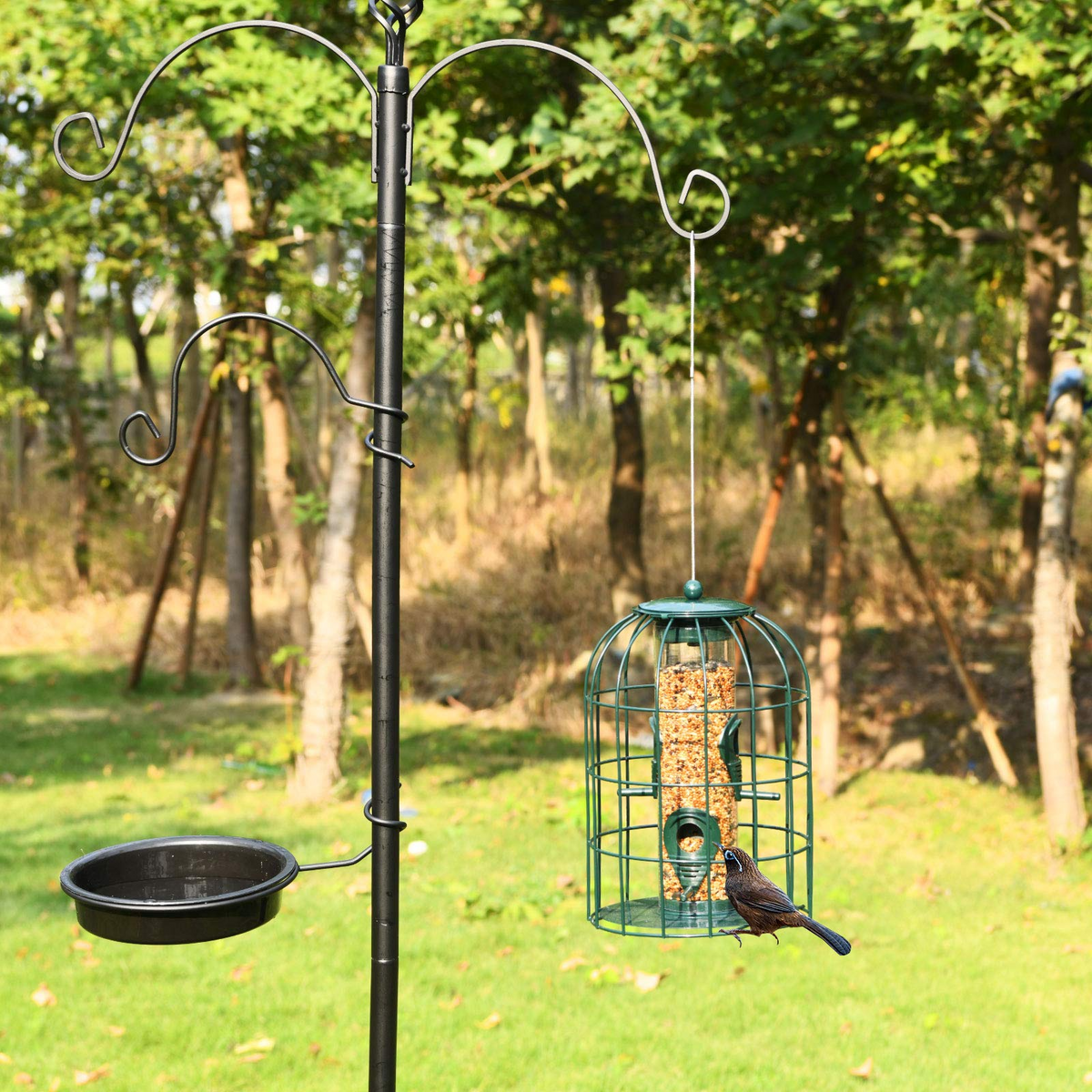 Squirrel-Proof Metal Hanging Bird Feeder with 4 Feeding Ports and Clear PC Tube
