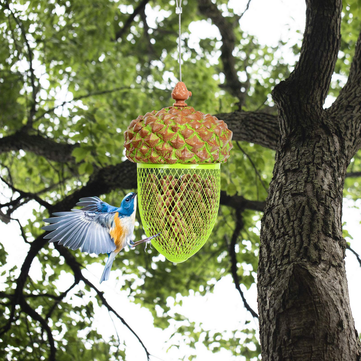 Acorn Metal Hanging Bird Feeder with Iron Mesh and Stainless Steel Wire