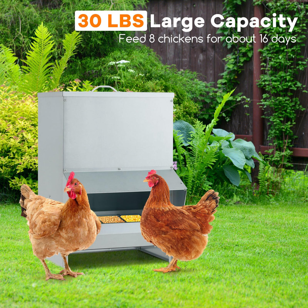 Galvanized Steel Chicken Feeder 30 lb Capacity with Lid and Rain Awning