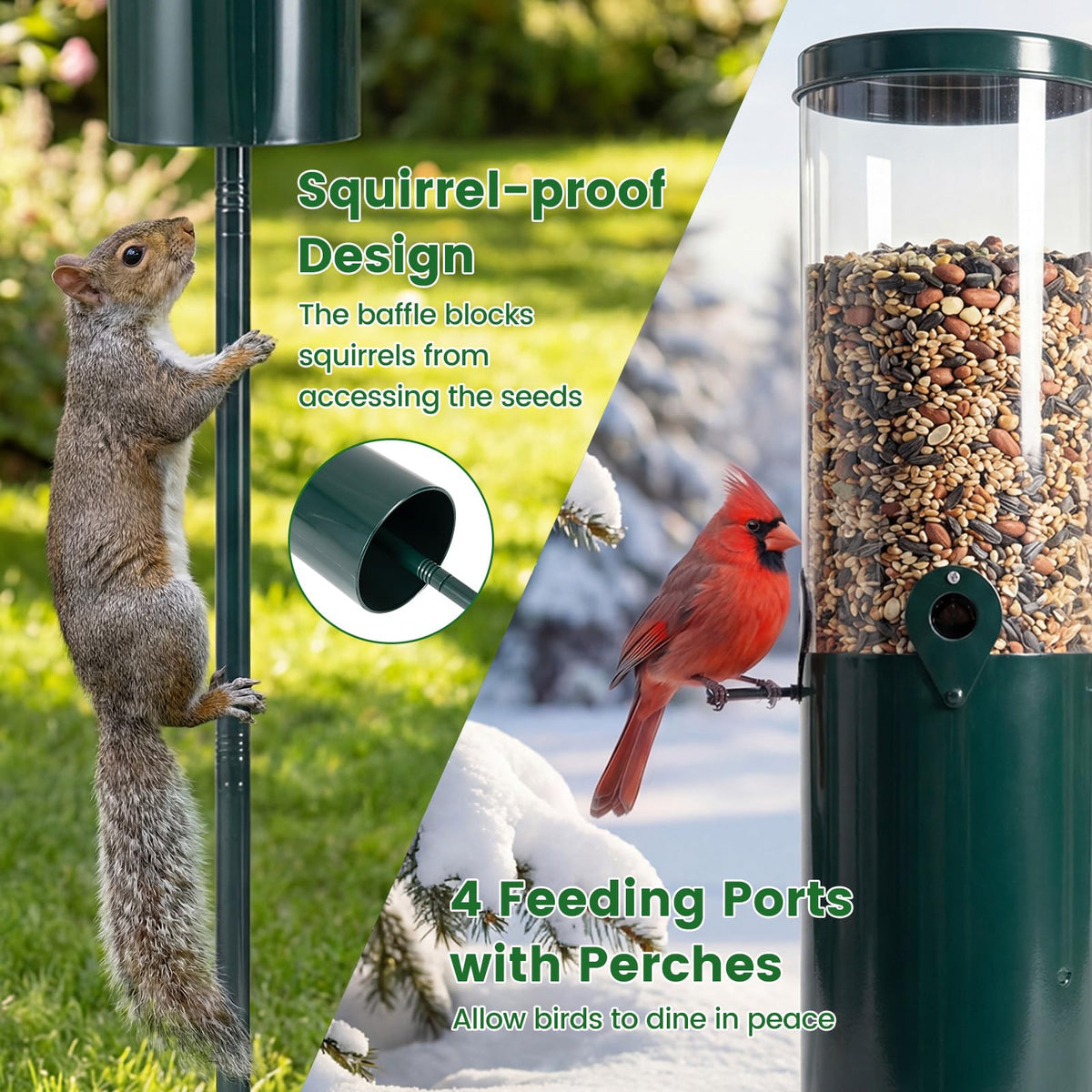 Squirrel-Proof Pole Mount Bird Feeder 10 lb Capacity with Baffle and 4 Perches