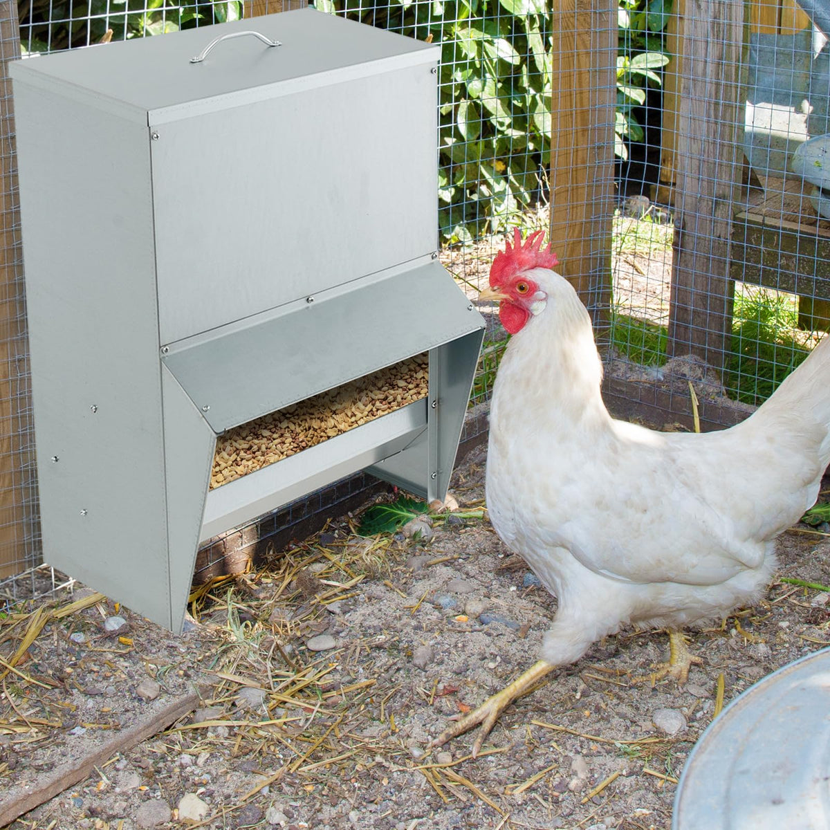 Galvanized Steel Chicken Feeder 30 lb Capacity with Lid and Rain Awning
